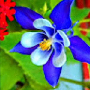 Meet your Posher, Dafna